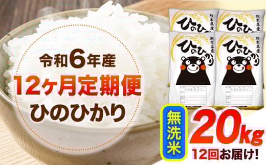 令和6年産 【12ヶ月定期便】 無洗米 ひのひかり 20kg 《お申し込み月の翌月から出荷開始》 熊本県産 無洗米 精米 ひの 送料無料 熊本県 山江村 SDGs 米 コメ こめ 国産 1607375 - 熊本県山江村
