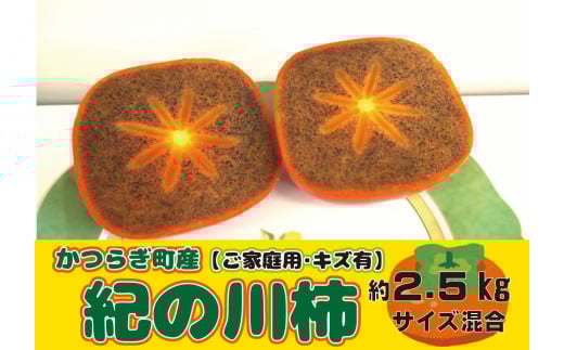 【訳あり・ご家庭用（傷有り）】かつらぎ町産 紀の川柿 約2.5kg 【2025年10月中旬～2025年11月中旬頃より順次発送】/ 訳あり 柿 かき フルーツ 果物 くだもの 食品 人気 おすすめ 送料無料