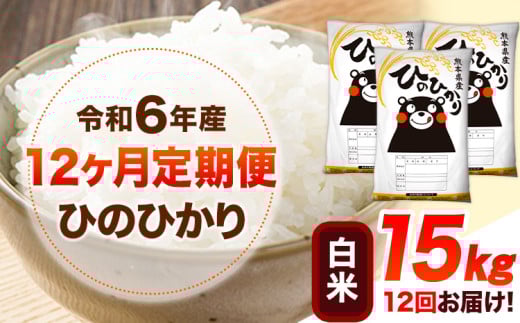 令和6年産 【12ヶ月定期便】 白米 ひのひかり 15kg 《お申し込み月の翌月から出荷開始》 熊本県産 白米 精米 ひの 送料無料 熊本県 山江村 SDGs 米 コメ こめ 国産 1607357 - 熊本県山江村