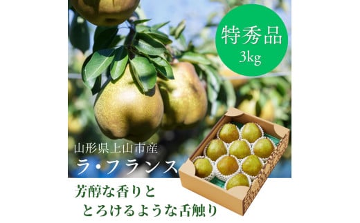 西洋梨(ラ・フランス)3kg 大玉 特秀品 贈答用 0055-2516 314750 - 山形県上山市