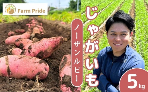 ＜先行予約＞Farm Prideが育てた じゃがいも ノーザンルビー 5kg | じゃがいも ノーザンルビー 野菜 料理 サラダ シチュー ニョッキ 産地直送 株式会社farmpride 埼玉県 所沢市