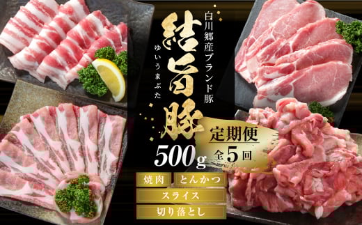 《定期便》全5回 結旨豚（焼肉・しゃぶしゃぶ・切り落とし）500g×5か月 冷凍真空パック | 肉 お肉 豚肉 国産 食べ比べ セット 白川郷 岐阜県 白川村 ブランド豚 人気 おすすめ ギフト 飛騨高山ミート 40000円 [MS101]