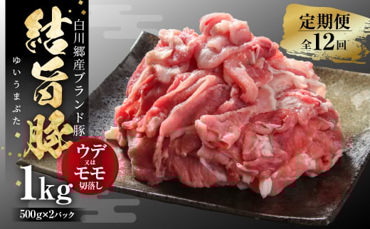 《定期便》全12回 結旨豚 ウデ又はモモ 切り落とし 500g×2パック 冷凍真空パック | 肉 お肉 豚肉 国産 食べ比べ セット 白川郷 岐阜県 白川村 ブランド豚 人気 おすすめ ギフト 飛騨高山ミート 120000円  [MS106]