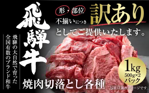 訳あり 飛騨牛 焼肉 切り落とし 1kg 冷凍真空パック | 肉 お肉 切落し 不揃い 焼肉 焼き肉 やきにく 黒毛和牛 和牛 人気 おすすめ 牛肉 ギフト お取り寄せ 飛騨高山ミート [MZ036] 2151136 - 岐阜県白川村