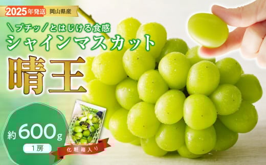 シャインマスカット 晴王 秀品 約600g 1房 岡山県産 ぶどう御中元 ギフト 御礼 プレゼント 御礼 御祝 御供 果物 くだもの フルーツ