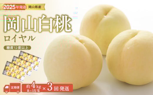 白桃 特秀 ロイヤル 大玉 定期便 約4kg 3回発送 岡山県産 桃 もも 御中元 ギフト 御礼 プレゼント 御礼 御祝 御供 果物 くだもの フルーツ