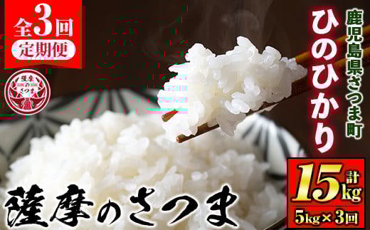 s679 ＜定期便・全3回(連続月)＞《令