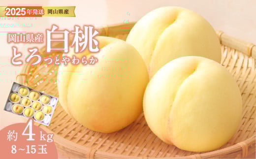白桃 岡山 秀品 大玉 約4kg 8-15玉 岡山県産 桃 もも 御中元 ギフト 御礼 プレゼント 御礼 御祝 御供 果物 くだもの フルーツ