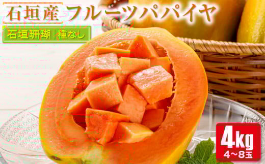フルーツパパイヤ４kg 【 パパイヤ フル