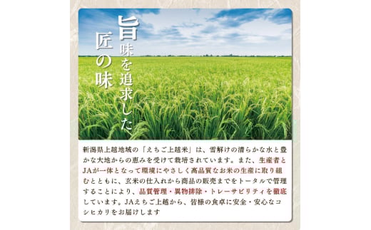 新潟県上越市のふるさと納税 【先行予約】令和7年 新米 新潟県産コシヒカリ えちご上越米　定期便 【3ヶ月連続お届け】10kg×3回 30kg 新潟 米 新潟県 こしひかり 限定 おすすめ
