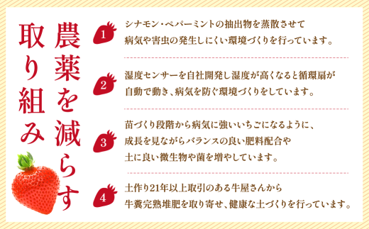 減農薬のため、お子様からご年配まで安心してお召し上がりいただけるあまおうです。