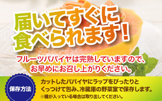 沖縄県石垣市のふるさと納税 フルーツパパイヤ４kg 【 パパイヤ フルーツパパイヤ 果物 くだもの フルーツ 果実 国産  沖縄県 沖縄 石垣 石垣島 石垣市 】ZH-14