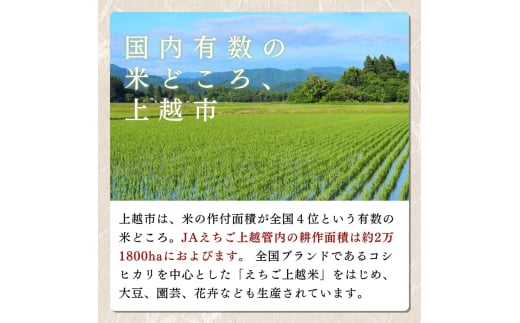 新潟県上越市のふるさと納税 【先行予約】令和7年 新米 新潟県産コシヒカリ えちご上越米 5kg 新潟 米 新潟県 こしひかり 限定 おすすめ