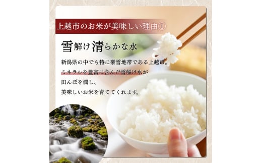 新潟県上越市のふるさと納税 【先行予約】令和7年 新米 新潟県産コシヒカリ えちご上越米　定期便 【6ヶ月連続お届け】10kg×6回 60kg 新潟 米 新潟県 こしひかり 限定 おすすめ
