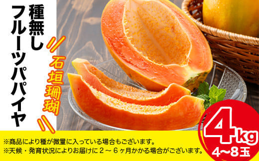 沖縄県石垣市のふるさと納税 フルーツパパイヤ４kg 【 パパイヤ フルーツパパイヤ 果物 くだもの フルーツ 果実 国産  沖縄県 沖縄 石垣 石垣島 石垣市 】ZH-14
