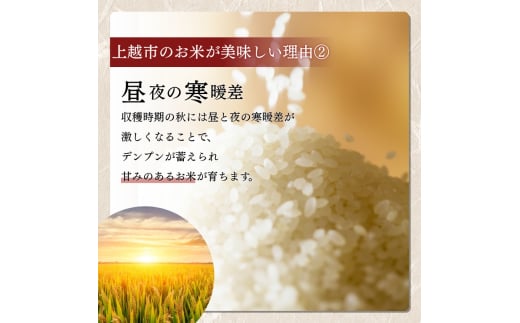新潟県上越市のふるさと納税 【先行予約】令和7年 新米 新潟県産コシヒカリ えちご上越米　定期便 【3ヶ月連続お届け】10kg×3回 30kg 新潟 米 新潟県 こしひかり 限定 おすすめ