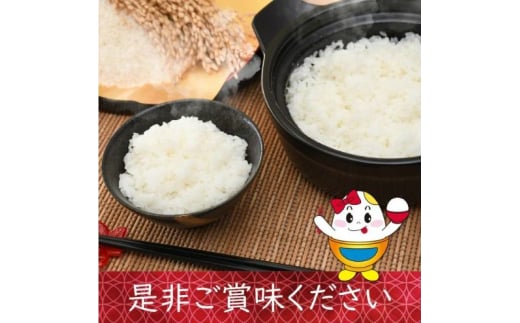 新潟県上越市のふるさと納税 【先行予約】令和7年 新米 新潟県産コシヒカリ えちご上越米　定期便 【3ヶ月連続お届け】10kg×3回 30kg 新潟 米 新潟県 こしひかり 限定 おすすめ