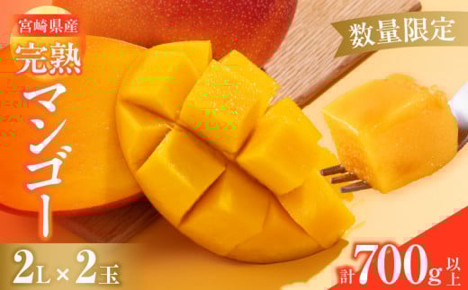 数量限定 宮崎県産 完熟マンゴー 2L×2玉 計700g以上 期間限定 フルーツ スイーツ 果物 くだもの 食品 グルメ デザート 国産 産地直送 人気 おすすめ おやつ 高級 ご褒美 贅沢 贈り物 ギフト プレゼント お取り寄せ 宮崎県 日南市 送料無料_C142-25
