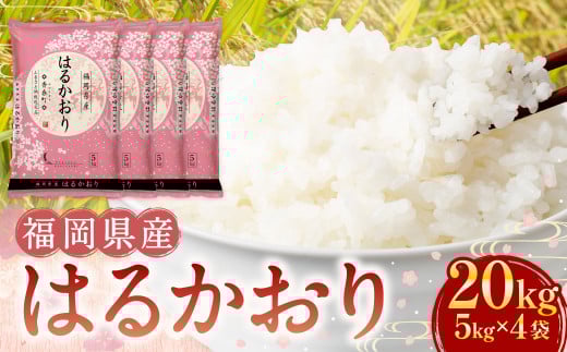 【令和7年産】はるかおり 精米 20kg 【2025年10月上旬発送開始】 ／ ふるさと納税限定 ふるさと納税限定品 お米 米 白米 食品 ご飯 飯 九州 福岡県 香春町