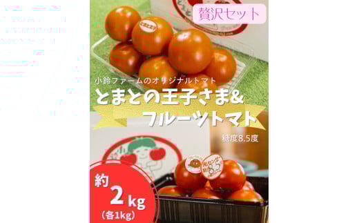 とまとの王子さま＆フルーツトマト糖度8.5度　計約2kg ※2026年1月上旬～4月下旬頃に順次発送予定◆
