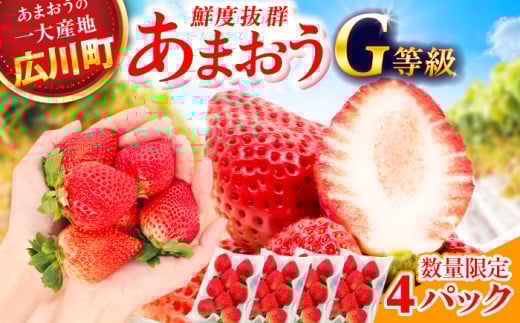 【★先行予約★　2026年2月より発送】あまおうG等級 2ケース（270g×4パック）いちご イチゴ 苺 フルーツ 果物 旬 福岡県産 小分け あまおう 博多 大きい 甘い 広川町 / JAふくおか八女農産物直売所どろや [AFAB070] 1529864 - 福岡県広川町