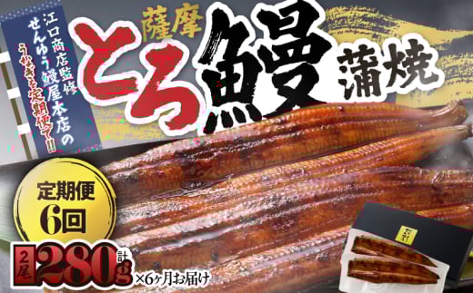2174-1 【江口商店監修】薩摩とろ鰻蒲焼二尾 280g(140g×2)<6ヶ月定期> KN084-T02 1023328 - 鹿児島県鹿屋市