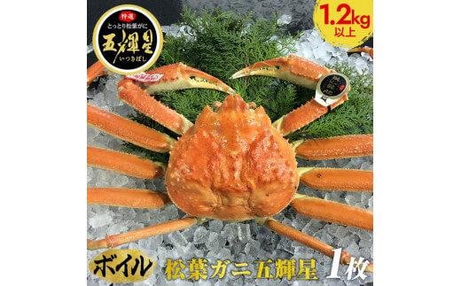 576.【ボイル】鳥取ブランド　松葉ガニ『五輝星』※2025年11月上旬～2026年3月下旬頃に順次発送予定※着日指定不可