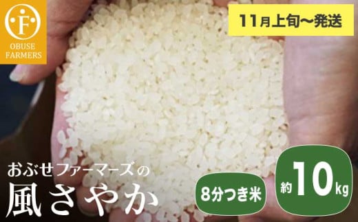 風さやか 8分つき米 約10kg ［ おぶせファーマーズ ］ お米 コメ おこめ ご飯 精米 長野県産 【2025年11月上旬～発送】［FK-22］ 2030333 - 長野県小布施町