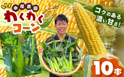 わくわくコーン 熊本玉名産 10本 中尾農園 | コーン とうもろこし 甘い 焼き 茹で 熊本県 玉名市