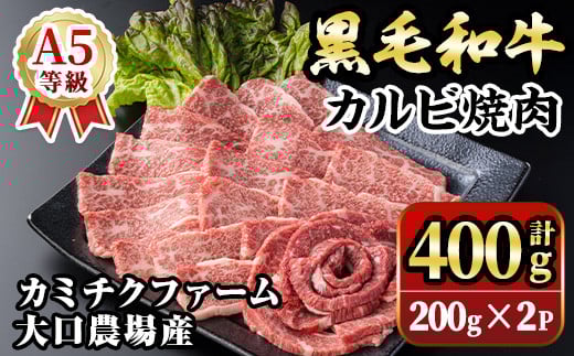 isa690 鹿児島県(カミチクファーム 大口農場)産 黒毛和牛カルビ焼肉(計400g・200g×2パック) 黒毛和牛 カルビ 焼肉 和牛 国産牛 高級肉 A5 ランク 雌牛 霜降り 旨味 口どけ 牛肉 焼肉用 BBQ バーベキュー アウトドア 冷凍 小分け 【お肉の直売所 伊佐店】