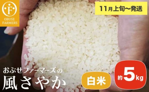 風さやか 白米 約5kg [ おぶせファーマーズ ] お米 コメ おこめ ご飯 精米 長野県産 [2025年11月上旬〜発送] [FK-17]