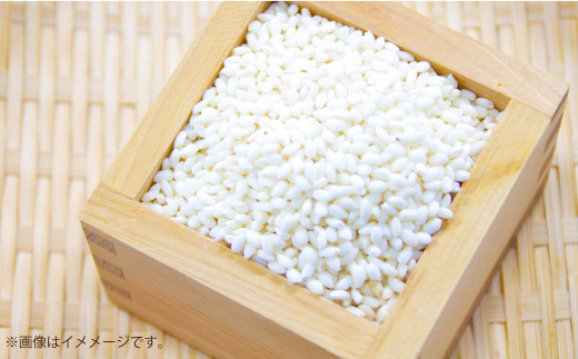 [令和7年産]島育ち、甑島産・さつま雪もち 5kg × 1袋 [2025年11月上旬より順次発送開始][先行予約]もち米 餅米 餅 AS-190