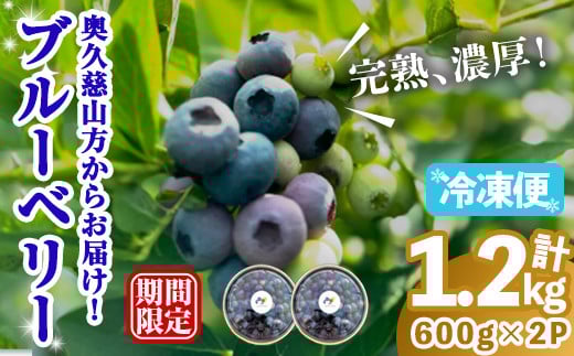 冷凍ブルーベリー1.2kg ブルーベリー 果物 フルーツ 青果物 冷凍 スムージー ヨーグルト おやつ 【奥久慈 まほろばの郷 ふれあい農園】【ho1523】
