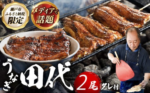 【11月発送】炭火焼き 国産うなぎ 蒲焼 2尾 / ウナギ 鰻 蒲焼 炭火 かば焼き / 瀬戸市 / うなぎ田代 [BBCA002-11] [BBCA002-11] 2137516 - 愛知県瀬戸市