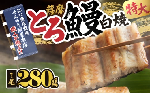 2519 【江口商店監修】薩摩トロ鰻白焼特大サイズ一尾 280g KN084-004 1441423 - 鹿児島県鹿屋市