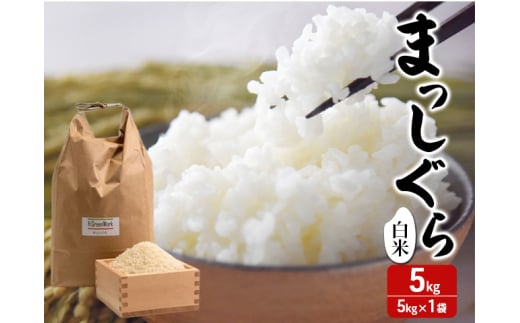 令和7年産 まっしぐら 白米 5kg 1袋 米 精米 こめ お米 おこめ コメ ご飯 ごはん 令和7年 H.GREENWORK 青森 青森県 鯵ヶ沢町