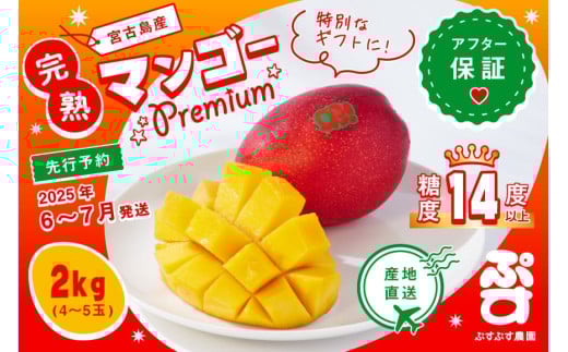 【ぷすぷす農園】宮古島産完熟マンゴープレミアムお中元セット（贈答用／2キロ×10セット／農園直送）