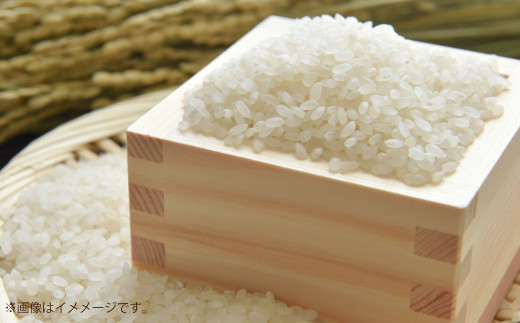 [令和7年産]島育ち、甑島産・ヒノヒカリ 白米 5kg × 1袋 [2025年11月上旬より順次発送開始][先行予約]米 お米 おこめ