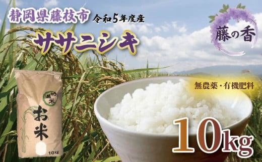 お米 藤の香 ササニシキ 古米 10kg 令和5年度産 静岡県産 静岡のお米 おこめ ご飯 ごはん 国産 産地直送 静岡県 藤枝市 