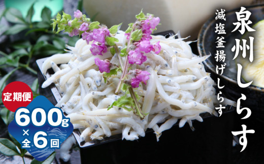 【定期便】泉州しらす （減塩釜揚げ）600g ×全6回 真面目漁師 濱ちゃんのこだわり