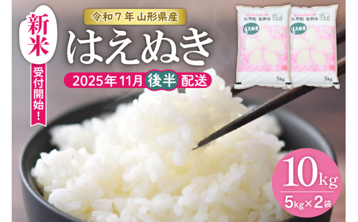 【令和7年産米】★2025年11月後半発送★はえぬき 10kg（5kg×2袋）山形県 東根市産　hi002-032-113-1