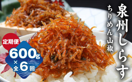【定期便】泉州しらす （ちりめん山椒）600g×全6回 真面目漁師 濱ちゃんのこだわり