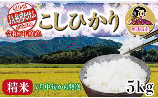 令和6年度産「こしひかり」 5㎏ 【7月中旬頃お届け】 2137479 - 福井県越前市