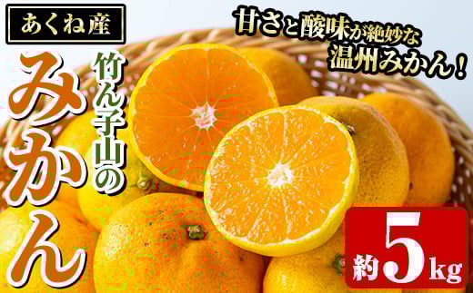 ＜先行予約受付中！2025年11月以降順次発送予定＞数量限定！竹ん子山のみかん(約5kg) 国産 鹿児島県産 阿久根産 ミカン 蜜柑 みかん 柑橘 果物 フルーツ 温州みかん 果実 期間限定 【竹ん子山】akn097-03