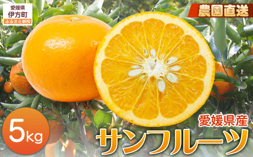 【栽培期間中農薬不使用】【先行受付】【数量限定】農園直送！愛媛県産サンフルーツ 5kg （2026年4月上旬頃より順次発送） 【 ふるさと納税 人気 おすすめ ランキング 柑橘 みかん ミカン 蜜柑 サンフルーツ フルーツ 果物 産地直送 ギフト 贈り物 栽培期間中農薬不使用 木野本農園 愛媛県産 愛媛県 伊方町 送料無料 】 IKTG011 2120475 - 愛媛県伊方町