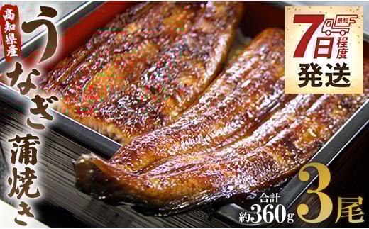 国産 うなぎ 蒲焼 120g✕3尾セット(無頭) 鰻 うなぎ蒲焼 おいしい 冷凍 無頭 セット うなぎ屋きた本 ウナギ 鰻 うなぎ大好き 夕飯 贅沢 ご褒美 贈り物 贈答 お礼 惣菜 魚介 加工品 加工食品 おかず お手軽 冬うなぎ 7日程度 un-0015