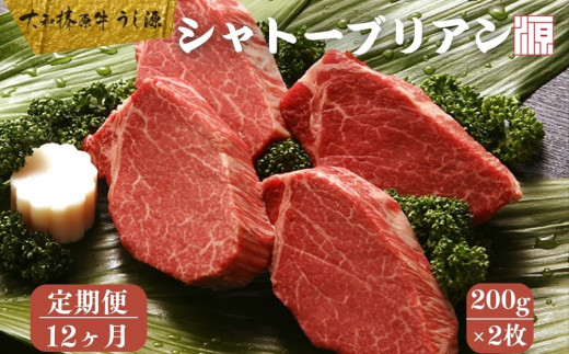 ＜定期便 12ヶ月＞(冷凍) シャトーブリアン 200g×2枚 ／ A5 ギフト 部位 牛肉 黒毛和牛 和牛 焼肉 ステーキ 父の日 母の日 お中元 暑中見舞い お土産 内祝い 正月 奈良県 宇陀市 うし源本店 大和榛原牛 ふるさと納税