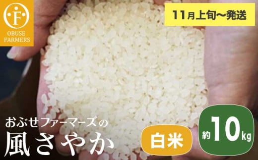 風さやか 白米  約10kg ［ おぶせファーマーズ ］ お米 コメ おこめ ご飯 精米 長野県産 【2025年11月上旬～発送】 ［FK-18］ 2030329 - 長野県小布施町