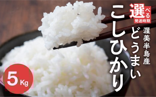 【5kg ：6か月 定期便】数量限定 こしひかり 5kg 10kg 定期便 選べる お米 おこめ 米 コメ ごはん コシヒカリ ご飯 ブランド米 精米 令和7年 定期 6か月 令和6年産 売り切れ 備蓄米 よりおいしい 愛知県 田原市 渥美半島 人気 どうまい 米 米 お米 お米 農家直送 先行予約 令和7年産 備蓄米 より おいしい 先行予約 令和7年産 13000円