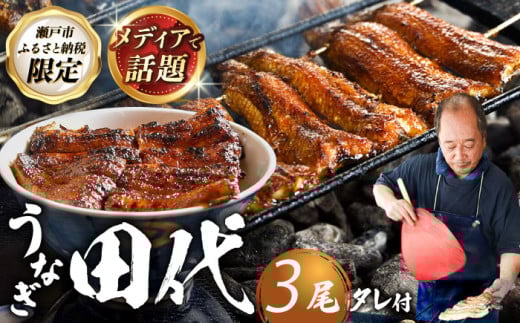 【1月発送】炭火焼き 国産うなぎ 蒲焼 3尾 / ウナギ 鰻 蒲焼 炭火 かば焼き / 瀬戸市 / うなぎ田代 [BBCA003-1] [BBCA003-1] 2137518 - 愛知県瀬戸市